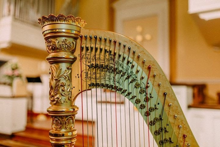 Detail photo of Grace's concert harp used for weddings and events in Austin